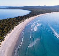 Maria Island Cruise  Walk. Renowned day tour with drinks and guided walk - Accommodation Redcliffe