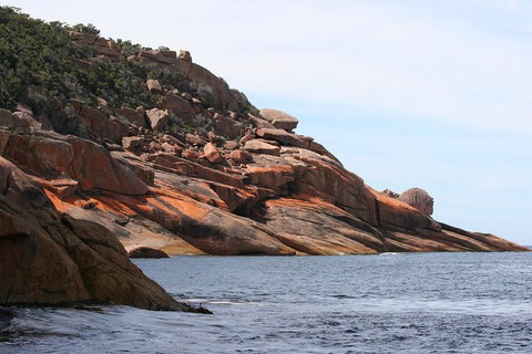 Wineglass Bay Cruise From Coles Bay - Accommodation Redcliffe 7