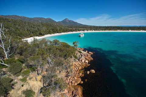 Wineglass Bay Cruise From Coles Bay - Accommodation Redcliffe 5