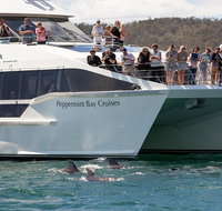 The Peppermint Bay Lunch Cruise from Hobart - Accommodation Redcliffe