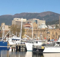 Private Mt Wellington Richmond Bonorong Wildlife Sanctuary Tour from Hobart - Accommodation Redcliffe