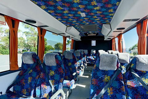 A Sommelier Guided Tour: Thursday Afternoon Wine Gin Cheese & Cocktails - Accommodation Redcliffe 11