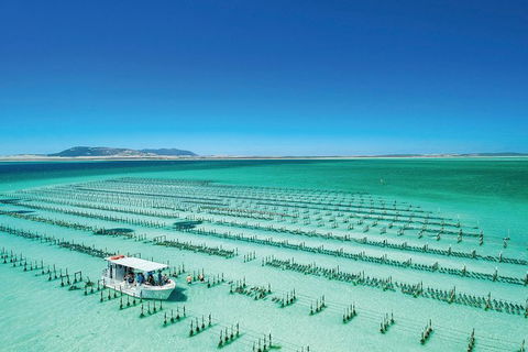 Coffin Bay Private Day Tour From Port Lincoln - A Taste Of Coffin Bay - Accommodation Redcliffe 0