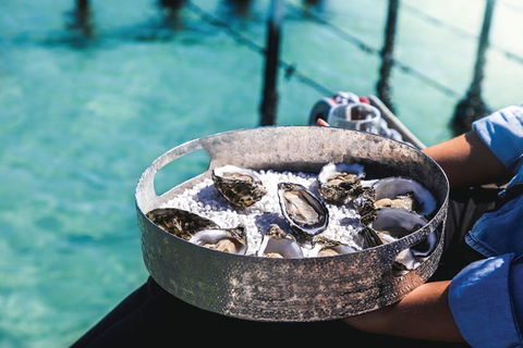 Coffin Bay Day Tour - A Taste Of Coffin Bay - Accommodation Redcliffe 8