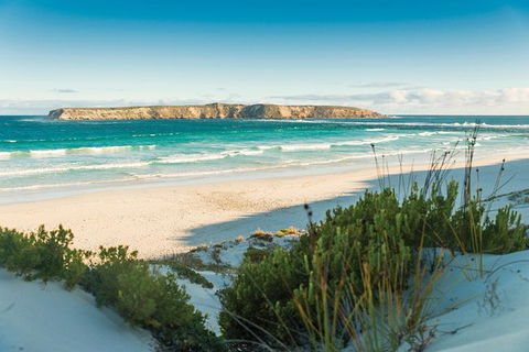 Coffin Bay Day Tour - A Taste Of Coffin Bay - Accommodation Redcliffe 13