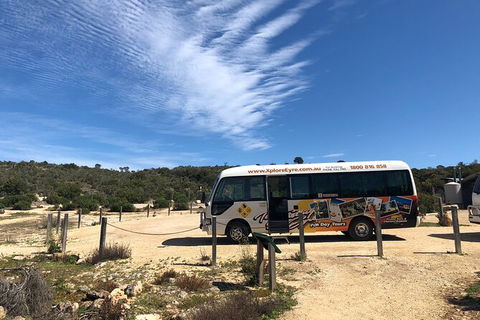 Coffin Bay Day Tour - A Taste Of Coffin Bay - Accommodation Redcliffe 4