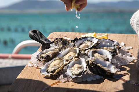 Experience Coffin Bay Short And Sweet Oyster Farm Tour - Accommodation Redcliffe 0