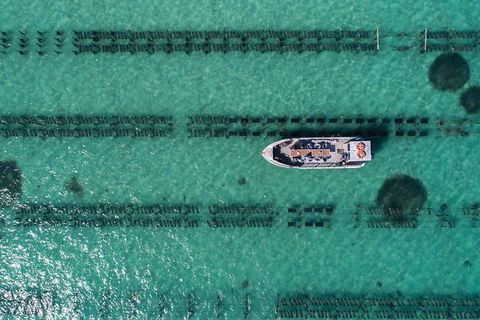 Experience Coffin Bay Short And Sweet Oyster Farm Tour - Accommodation Redcliffe 1