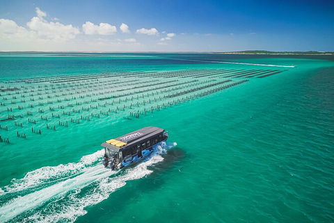 Experience Coffin Bay Short And Sweet Oyster Farm Tour - Accommodation Redcliffe 2