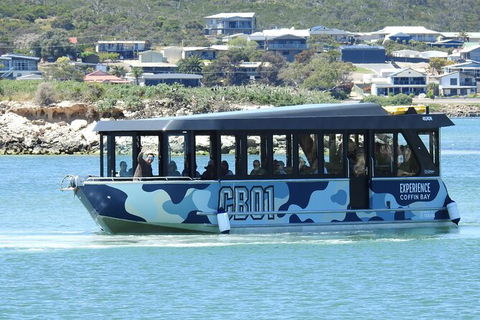 Experience Coffin Bay Short And Sweet Oyster Farm Tour - Accommodation Redcliffe 9
