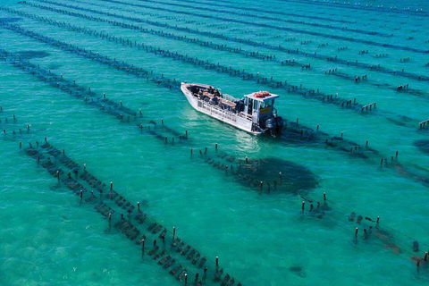 Experience Coffin Bay Short And Sweet Oyster Farm Tour - Accommodation Redcliffe 7