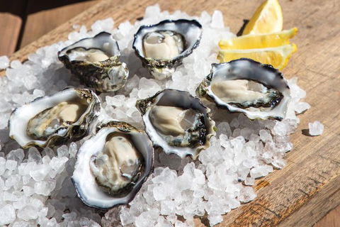 Experience Coffin Bay Short And Sweet Oyster Farm Tour - Accommodation Redcliffe 3