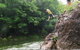 Tully River Full-Day White Water Rafting From Cairns Including Lunch - thumb 4