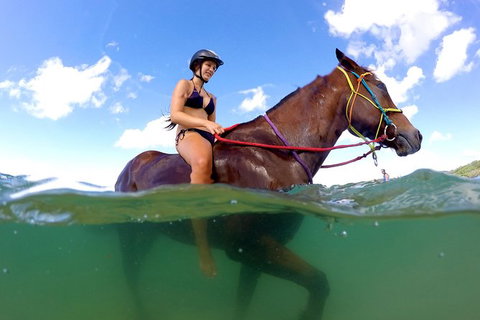 Horse Swimming Ride From Rainbow Beach - Accommodation Redcliffe 1