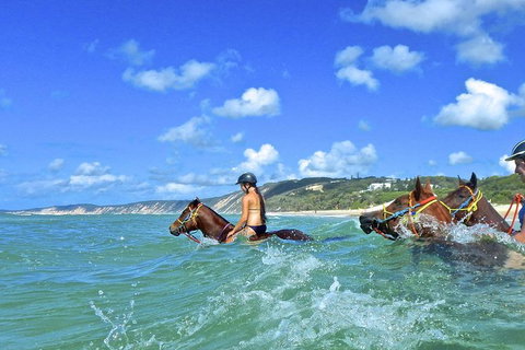 Horse Swimming Ride From Rainbow Beach - Accommodation Redcliffe 0
