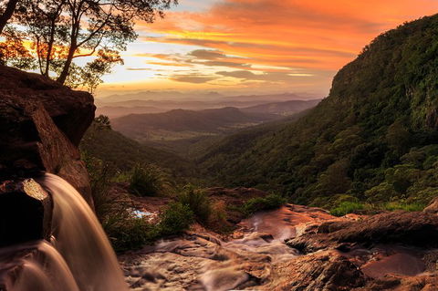 O\'Reilly\'s & Lamington National Park Incl. Alpaca Farm + Vineyard - Accommodation Redcliffe 6