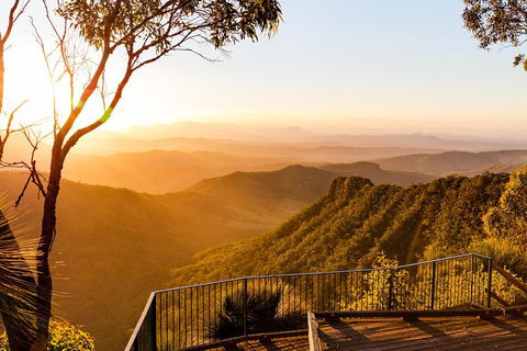 O\'Reilly\'s & Lamington National Park Incl. Alpaca Farm + Vineyard - Accommodation Redcliffe 3