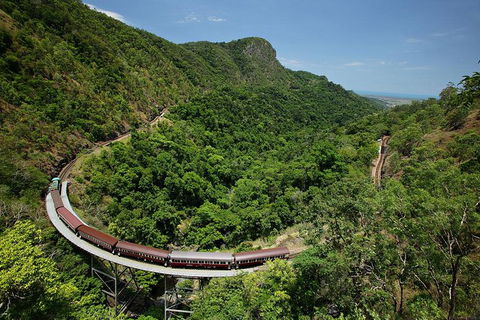 Skyrail Rainforest Cableway Day Trip From Palm Cove - Accommodation Redcliffe 5