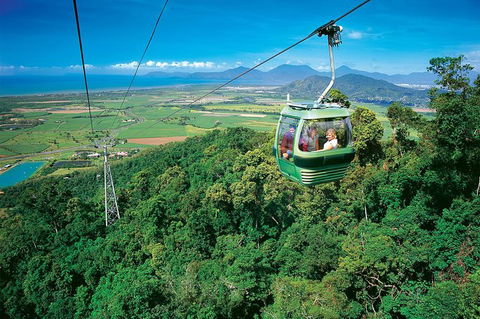 Skyrail Rainforest Cableway Day Trip From Palm Cove - Accommodation Redcliffe 3
