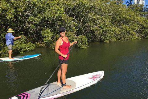 Stand Up Paddle Hire - Accommodation Redcliffe 4