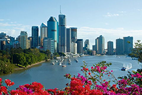 Brisbane Highlights And Lone Pine Cruise From Gold Coast - Accommodation Redcliffe 5