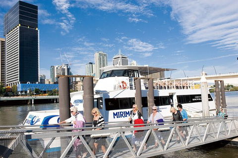 Brisbane Highlights And Lone Pine Cruise From Gold Coast - Accommodation Redcliffe 13