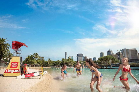 Brisbane Highlights And Lone Pine Cruise From Gold Coast - Accommodation Redcliffe 9