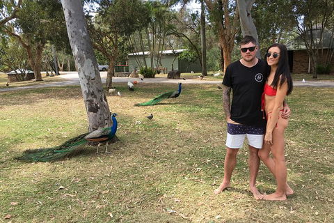 Surfers Paradise Stand Up Paddle Tour - Accommodation Redcliffe 5