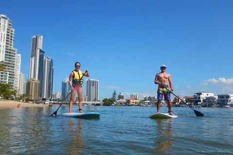 Surfers Paradise Stand Up Paddle Tour - Accommodation Redcliffe 2