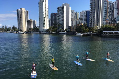 Surfers Paradise Stand Up Paddle Tour - Accommodation Redcliffe 3