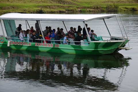 Daintree River Cruise - Accommodation Redcliffe 2