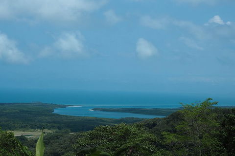 Cape Tribulation, Daintree Rainforest And Wildlife Tour - Accommodation Redcliffe 7