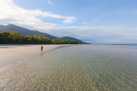 Cape Tribulation, Daintree Rainforest And Wildlife Tour - Accommodation Redcliffe 6