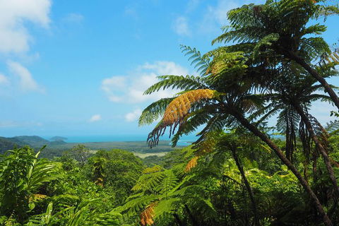 Cape Tribulation, Daintree Rainforest And Wildlife Tour - Accommodation Redcliffe 5