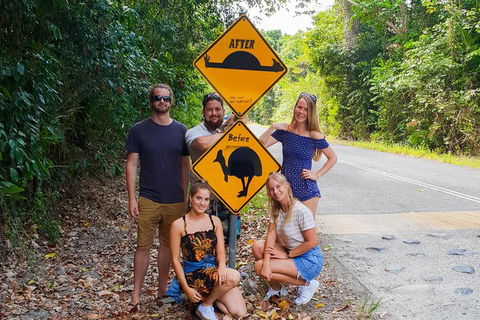 Cape Tribulation, Daintree Rainforest And Wildlife Tour - Accommodation Redcliffe 10