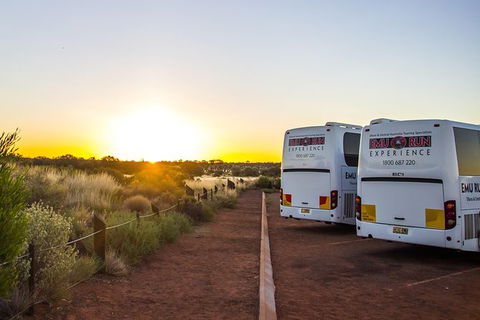 Uluru And Kata Tjuta Experience With BBQ Dinner - Accommodation Redcliffe 4