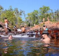 Litchfield and Jumping Crocodiles Full Day Trip from Darwin - Accommodation Redcliffe