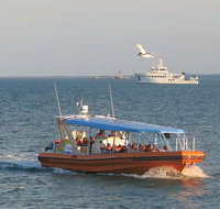 1-Hour Darwin Harbour Highlights Cruise - Accommodation Redcliffe