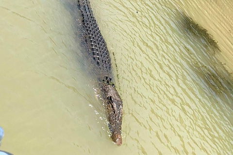 Kakadu National Park Scenic Flight & Cruise - Accommodation Redcliffe 11
