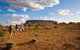 Mount Conner 4WD Small Group Tour From Ayers Rock Including Dinner - thumb 7