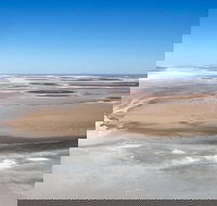 Scenic Flight Lizard Safari