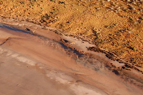 Scenic Flight: Lizard Safari - Accommodation Redcliffe 4