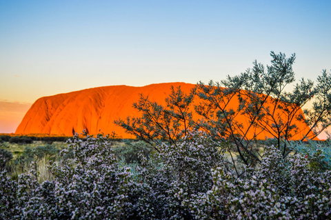Uluru Sunrise And Kata Tjuta Half Day Trip - Accommodation Redcliffe 2
