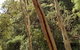 3-Day Tour From Uluru (Ayers Rock) To Alice Springs Via Kings Canyon - thumb 5