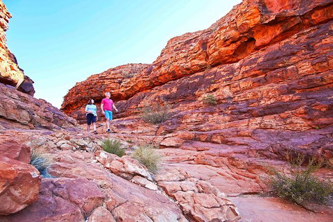 3-Day Tour From Uluru (Ayers Rock) To Alice Springs Via Kings Canyon - Accommodation Redcliffe 27