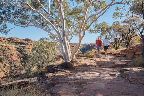 3-Day Tour From Uluru (Ayers Rock) To Alice Springs Via Kings Canyon - Accommodation Redcliffe 26