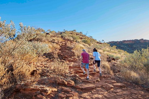 3-Day Tour From Uluru (Ayers Rock) To Alice Springs Via Kings Canyon - Accommodation Redcliffe 19