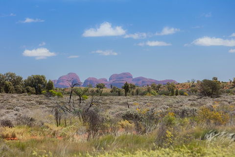 Overnight Uluru (Ayers Rock) Small-Group Camping Tour - Accommodation Redcliffe 15