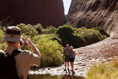 Afternoon Kata Tjuta Small Group Tour - Accommodation Redcliffe 6