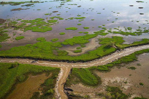 Kakadu National Park Scenic Flight - Accommodation Redcliffe 10